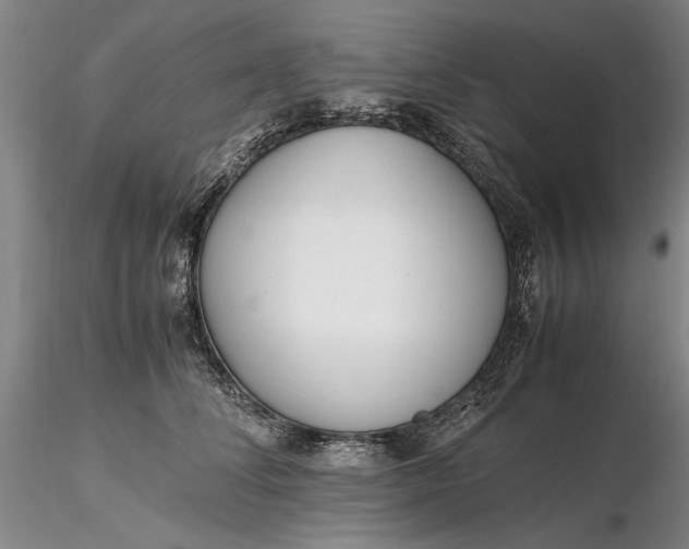 X0000116260708200912211736