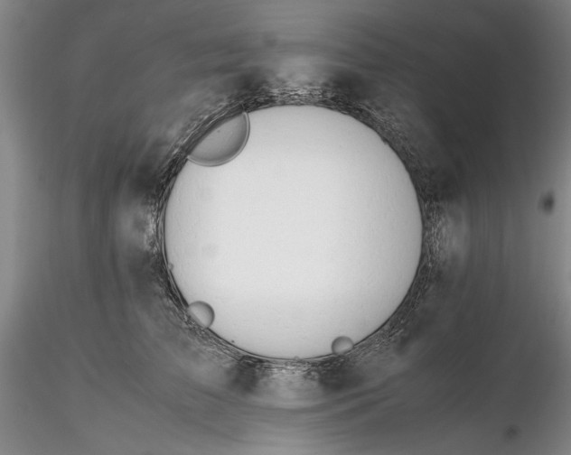 X0000116260709200912211736