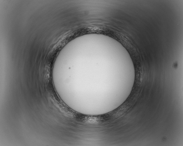 X0000116260710200912211736