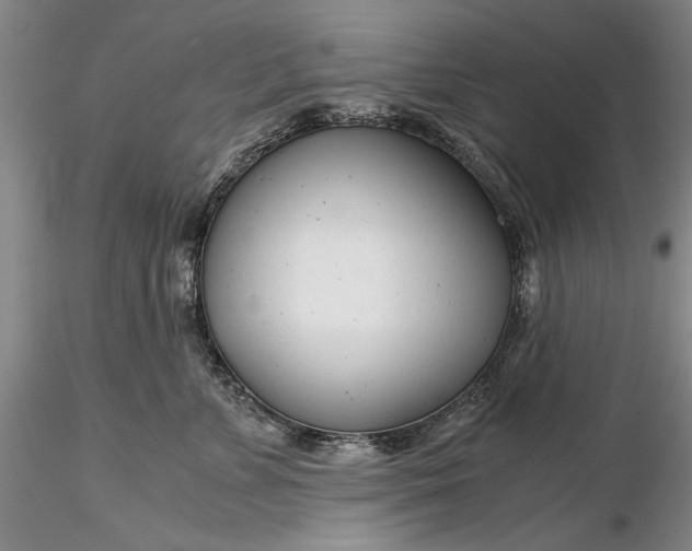 X0000116260715200912211736
