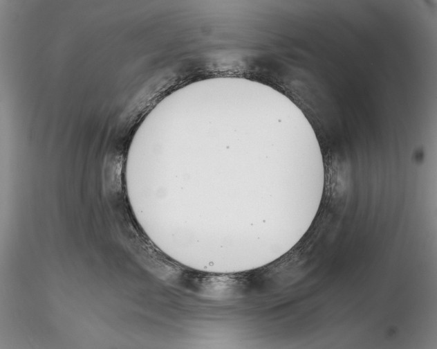 X0000116260717200912211736