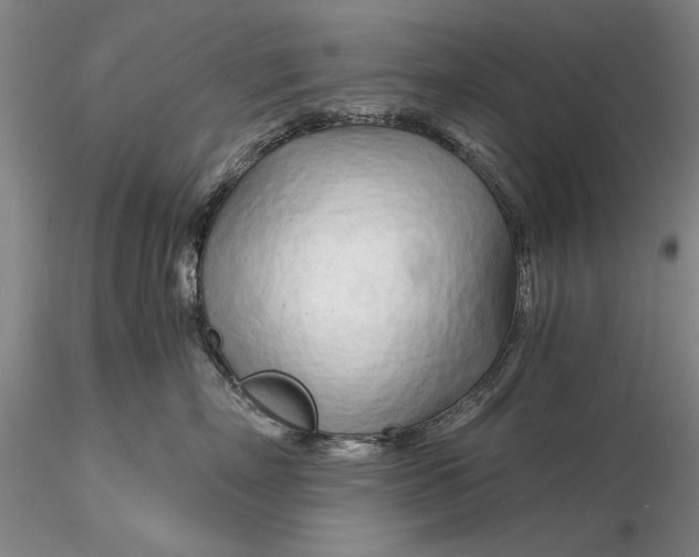 X0000116260718200912211736