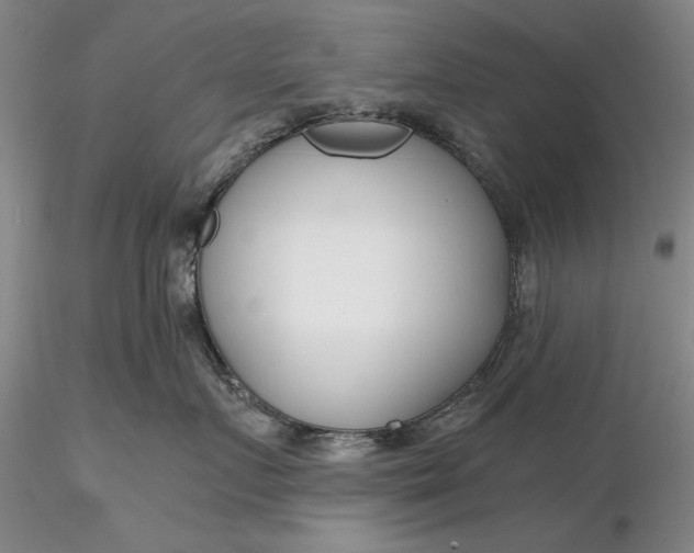 X0000116260719200912211736