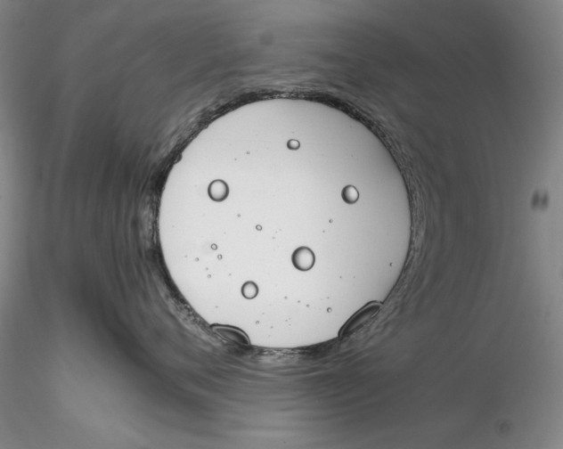 X0000116260720200912211736