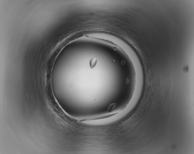 X0000116260722200912211736