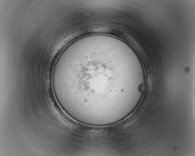 X0000116260725200912211736
