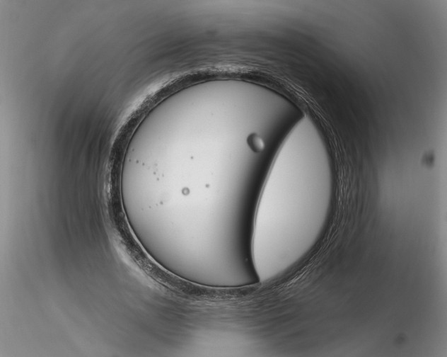 X0000116260726200912211736