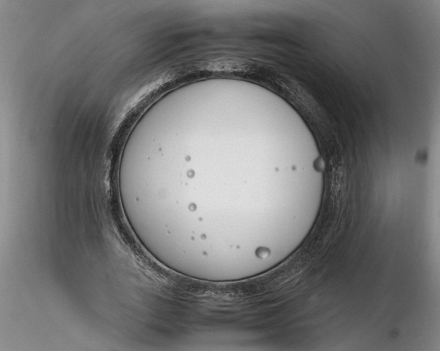 X0000116260727200912211736