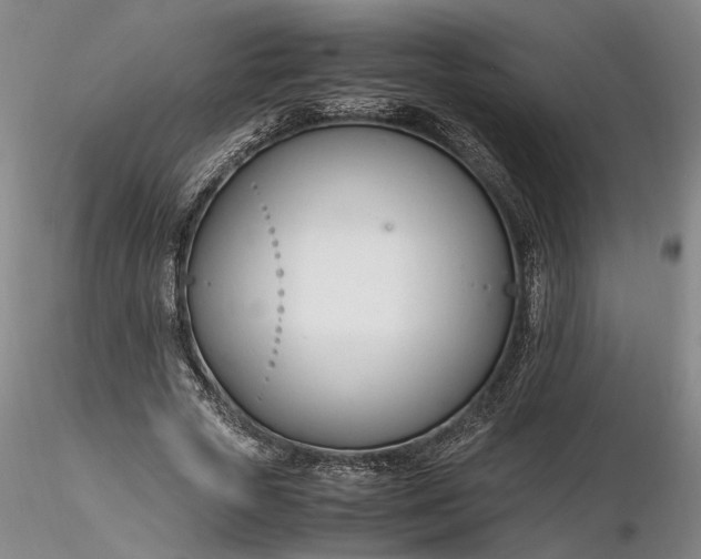 X0000116260729200912211736