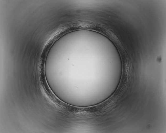 X0000116260730200912211736