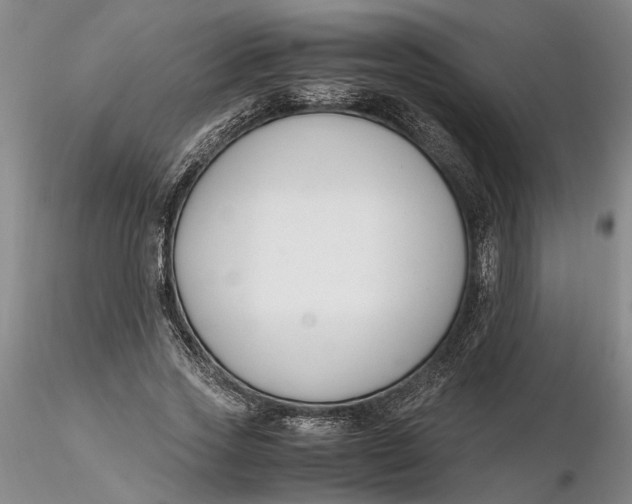 X0000116260733200912211736