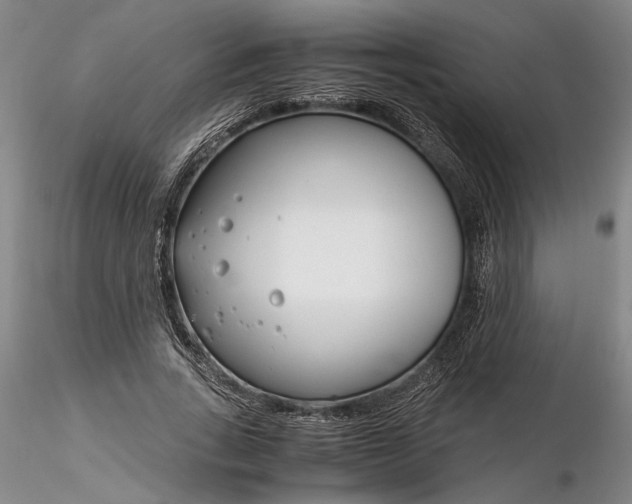 X0000116260735200912211736