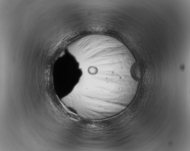 X0000116260739200912211736