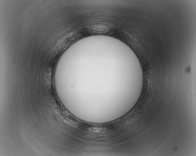 X0000116260745200912211736