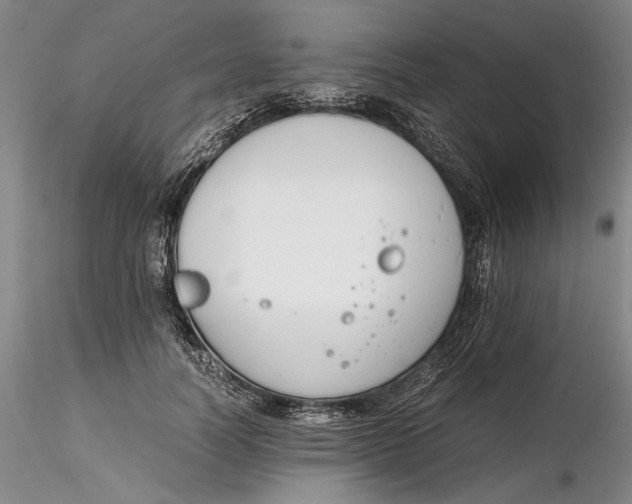 X0000116260746200912211736