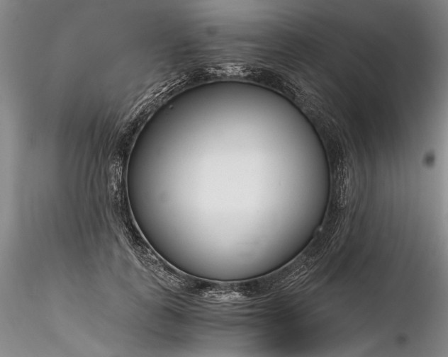 X0000116260747200912211736