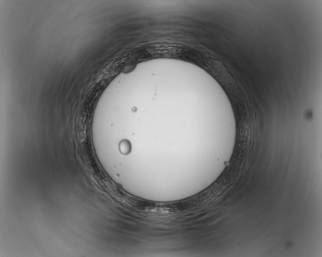 X0000116260751200912211736