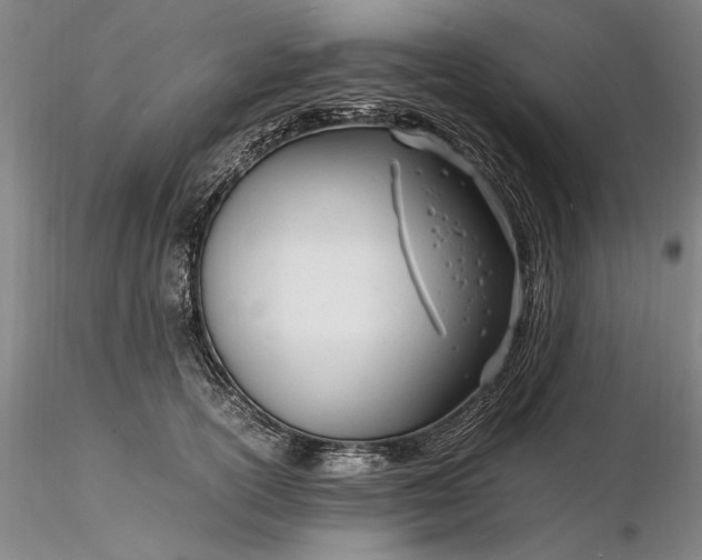 X0000116260754200912211736