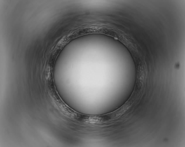 X0000116260758200912211736