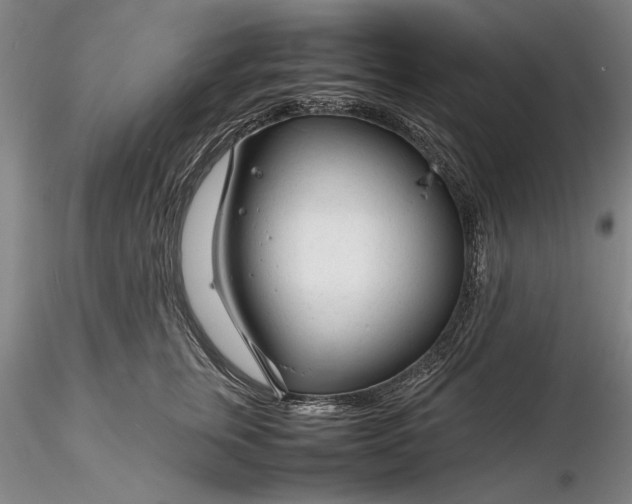 X0000116260759200912211736