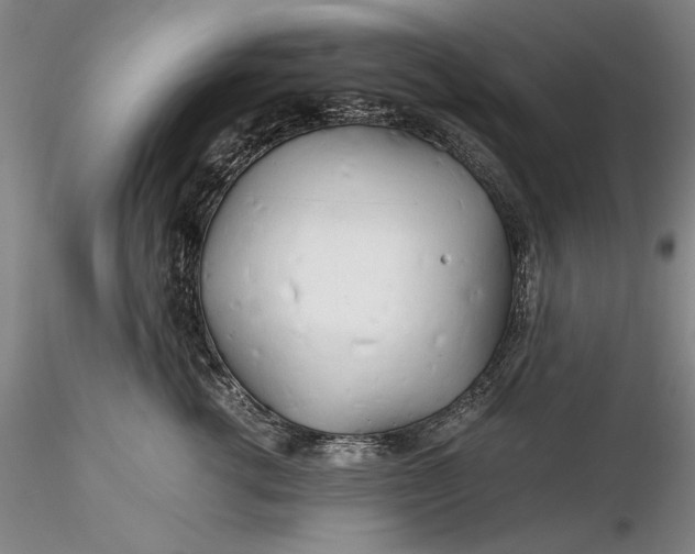 X0000116260762200912211736