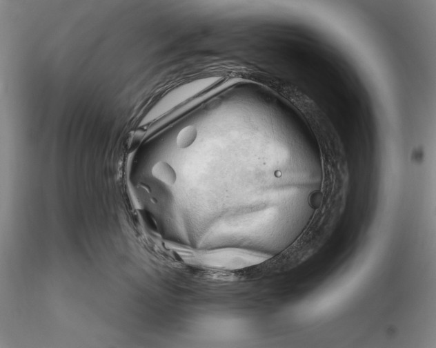 X0000116260767200912211736
