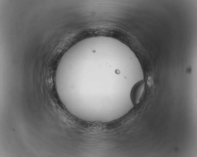 X0000116260771200912211736