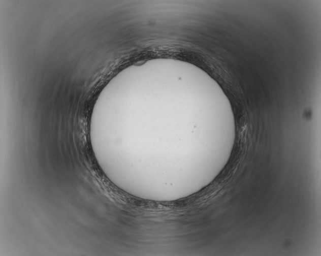 X0000116260772200912211736