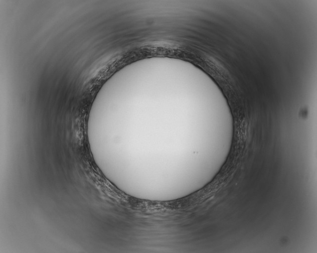X0000116260774200912211735