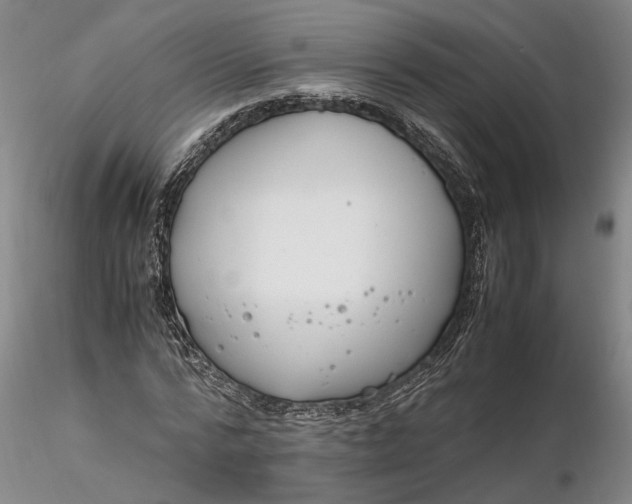 X0000116260776200912211735