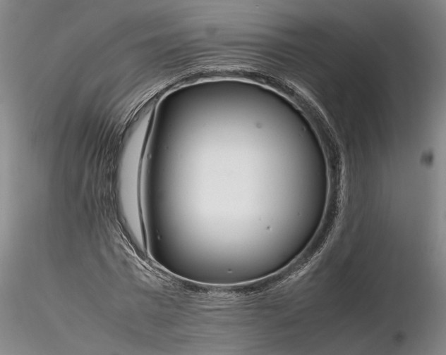 X0000116260777200912211735