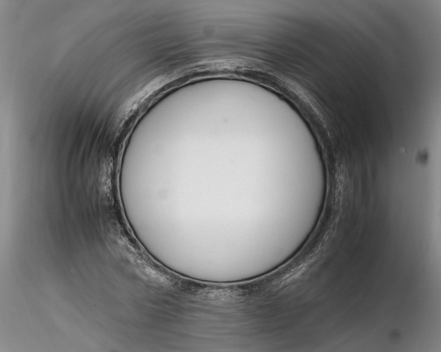 X0000116260778200912211735