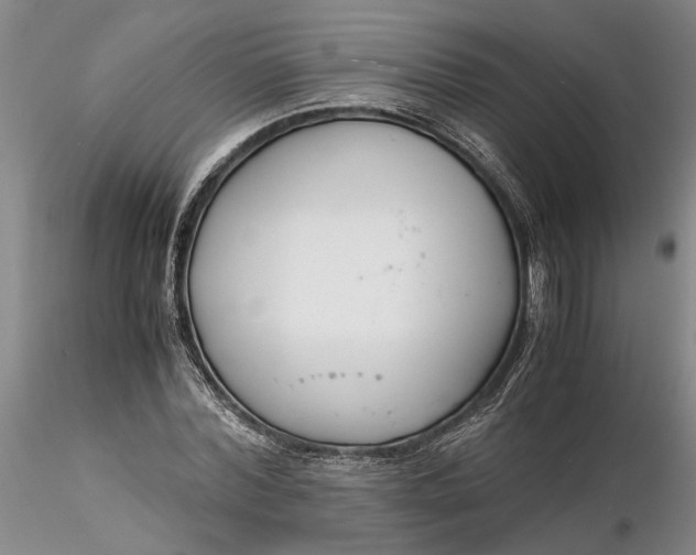 X0000116260780200912211735