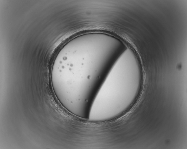 X0000116260781200912211735