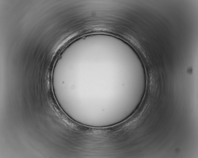 X0000116260782200912211735