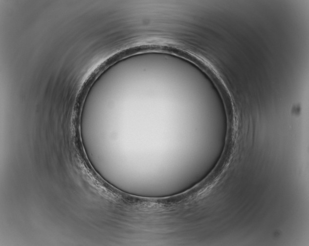X0000116260783200912211735