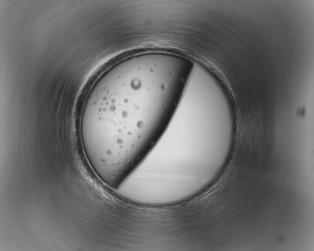 X0000116260784200912211735
