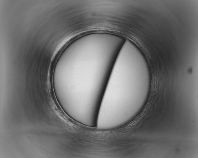 X0000116260788200912211735