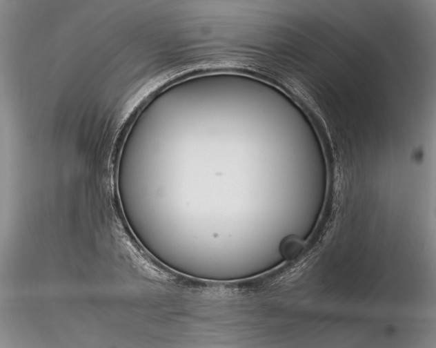 X0000116260789200912211735