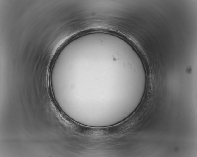X0000116260791200912211735