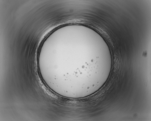 X0000116260792200912211735