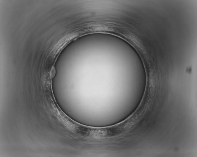 X0000116260793200912211735