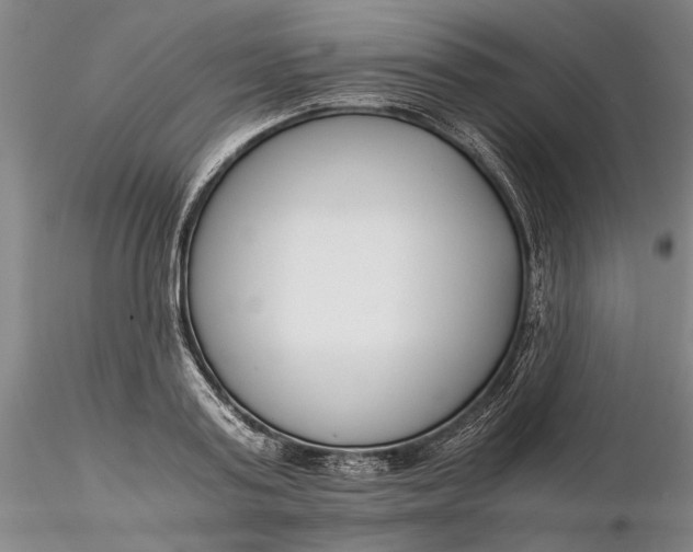 X0000116260795200912211735