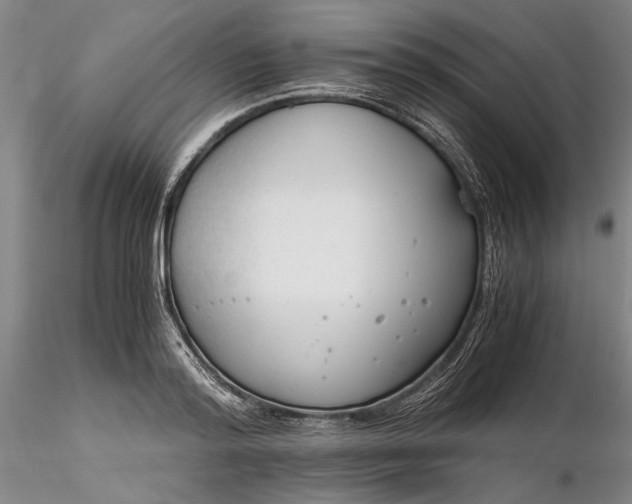 X0000116260796200912211735