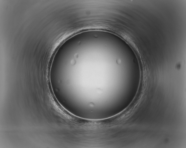 X0000116260797200912211735