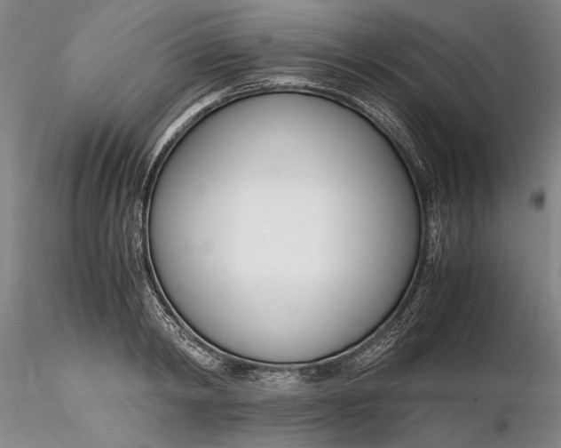 X0000116260798200912211735