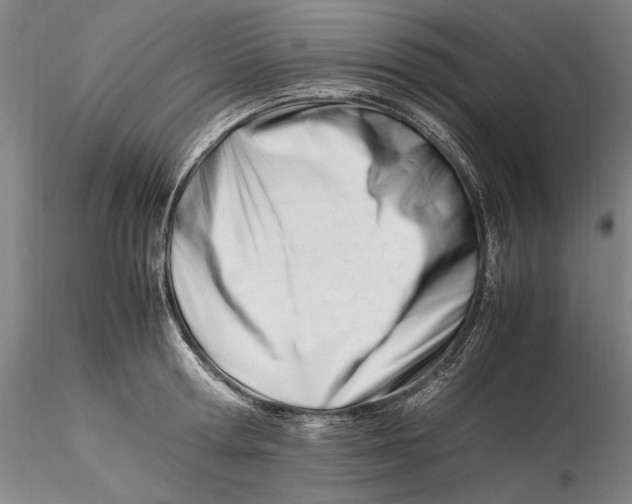 X0000116260802200912211735