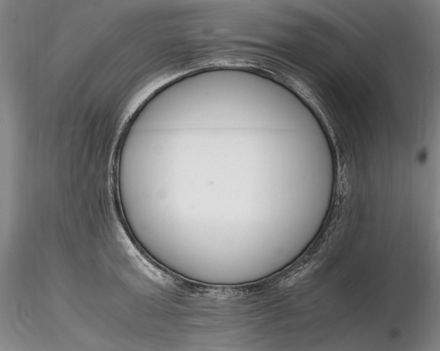 X0000116260803200912211735