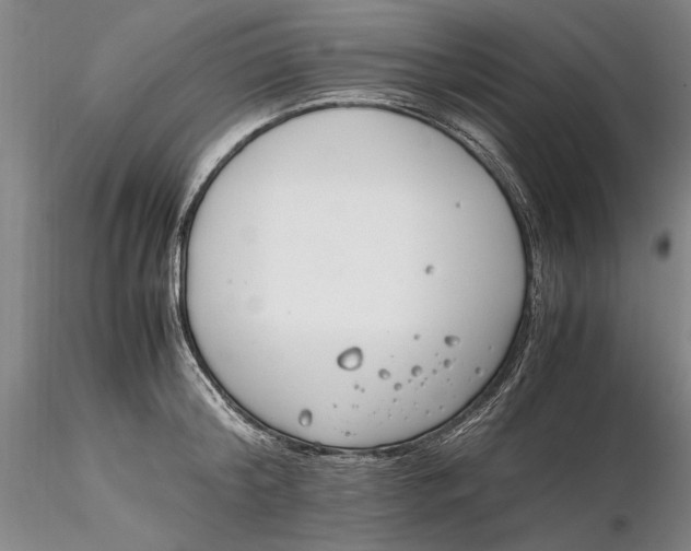 X0000116260804200912211735