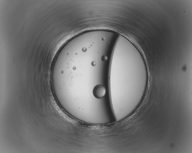 X0000116260805200912211735